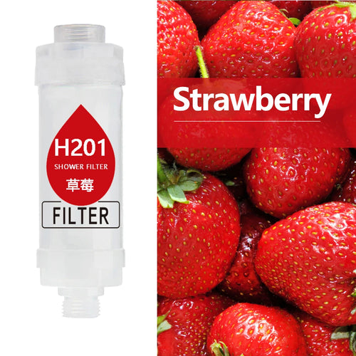 Filtered Scented Shower Head for Water Softening Hair Skin Care